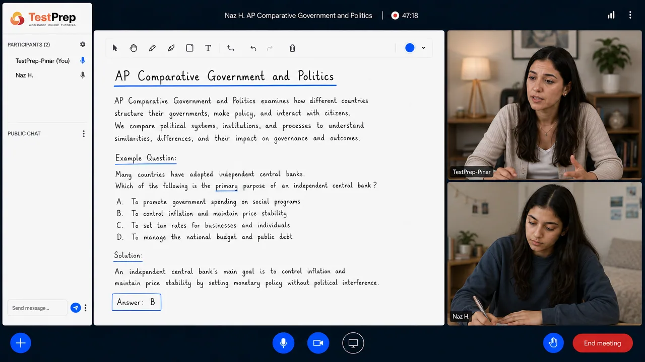 TestPrep sınıfında AP Comparative Government & Politics birebir dersi — eğitmen ve öğrenci tahtada birlikte çalışıyor