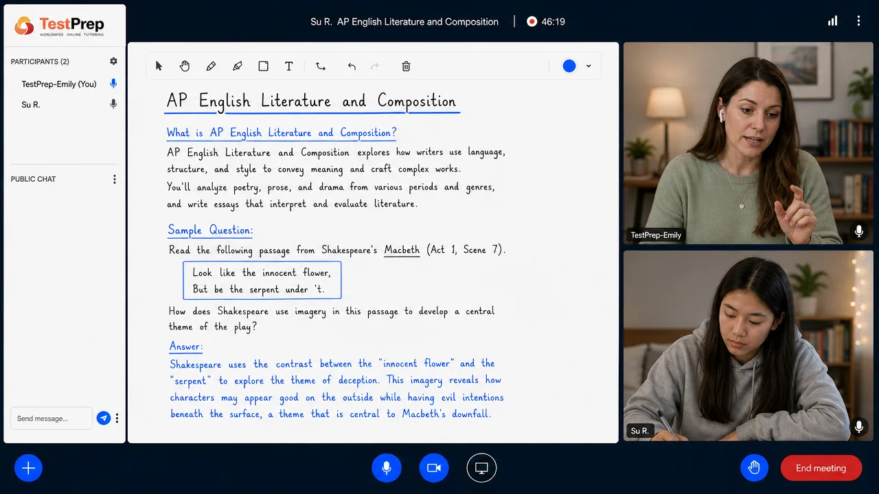 TestPrep sınıfında AP English Literature birebir dersi — eğitmen ve öğrenci tahtada birlikte çalışıyor