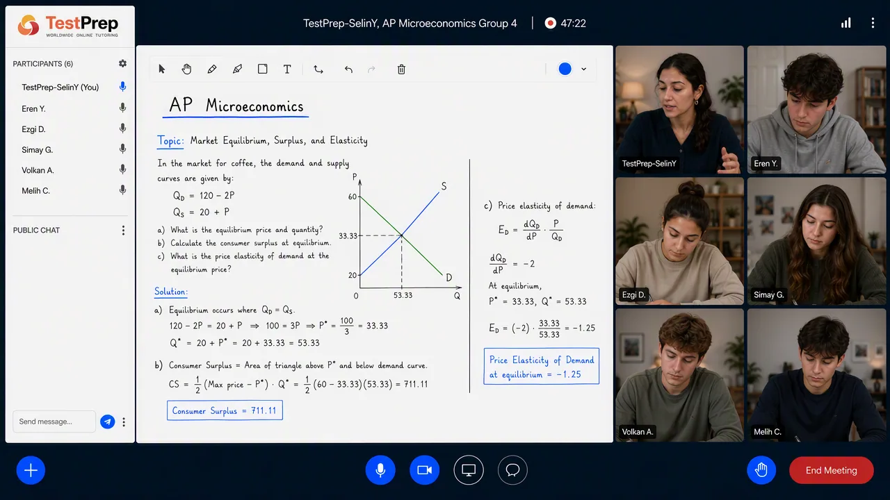 TestPrep sınıfında AP Microeconomics grup dersi görünümü