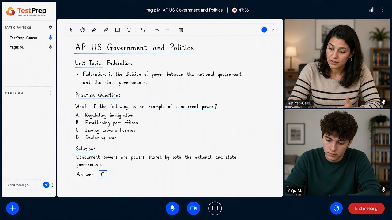 TestPrep sınıfında AP U.S. Government & Politics birebir dersi — eğitmen ve öğrenci tahtada birlikte çalışıyor